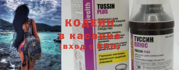 индика Гусиноозёрск