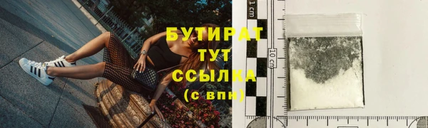 индика Гусиноозёрск