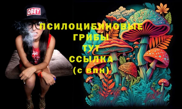 прущие крисы Гусь-Хрустальный