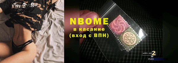 индика Гусиноозёрск