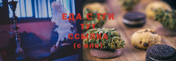индика Гусиноозёрск