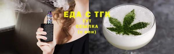 индика Гусиноозёрск