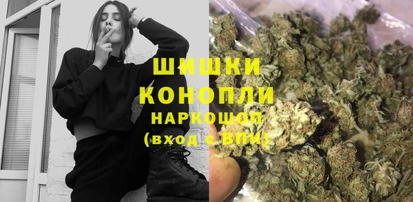 эйфоретик Гусев