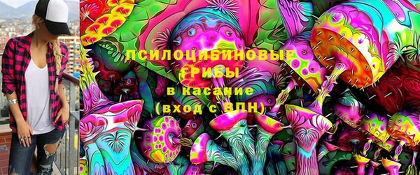 индика Гусиноозёрск