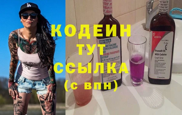 индика Гусиноозёрск