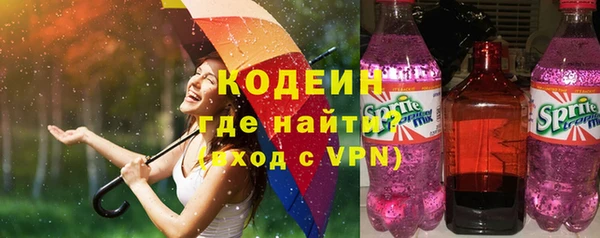 эйфоретик Гусев