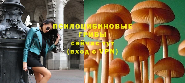 прущие крисы Гусь-Хрустальный