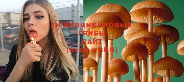 эйфоретик Гусев