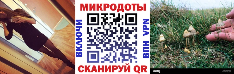 Галлюциногенные грибы Psilocybine cubensis  ОМГ ОМГ сайт  Владимир 